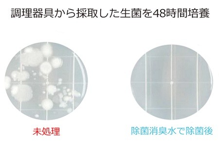 一般生菌 除菌