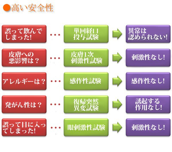 高い安全性