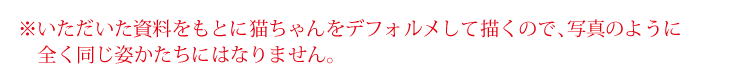 デフォルメして描くので写真のように同じ姿かたちにはなりません